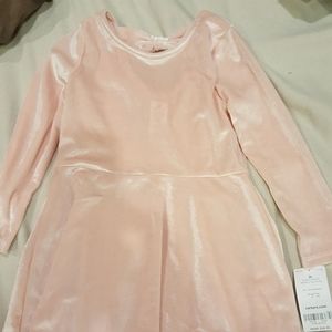 Carters 2T girls velvet dress